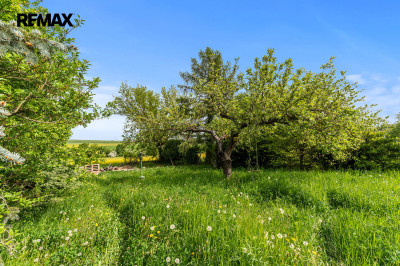 Prodej pozemku pro bydlení, 950 m2, Mořina
