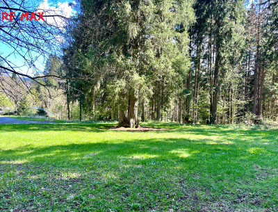Prodej pozemku pro komerční výstavbu, 15757 m2, Železná Ruda