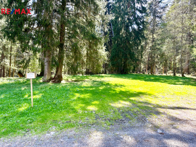 Prodej pozemku pro komerční výstavbu, 15757 m2, Železná Ruda