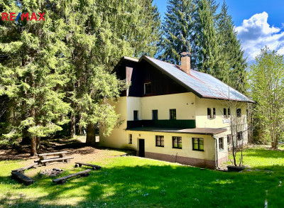 Prodej pozemku pro komerční výstavbu, 15757 m2, Železná Ruda