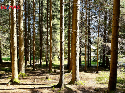 Prodej pozemku pro komerční výstavbu, 15757 m2, Železná Ruda