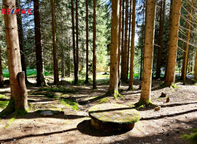 Prodej pozemku pro komerční výstavbu, 15757 m2, Železná Ruda