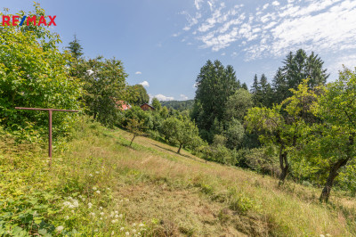 Prodej chalupy, 190 m2, Zlatá Olešnice