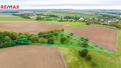 Prodej sadu/vinice, 6588 m2, Panoší Újezd