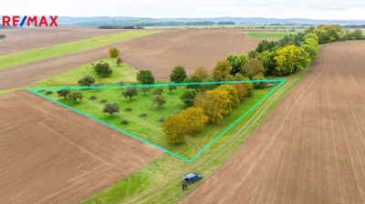 Prodej sadu/vinice, 6588 m2, Panoší Újezd