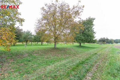 Prodej sadu/vinice, 6588 m2, Panoší Újezd