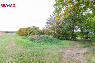 Prodej sadu/vinice, 6588 m2, Panoší Újezd