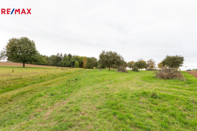 Prodej sadu/vinice, 6588 m2, Panoší Újezd