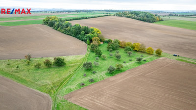 Prodej sadu/vinice, 6588 m2, Panoší Újezd