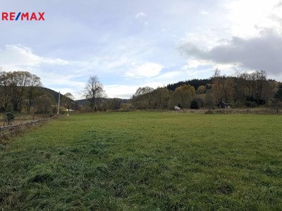 Prodej pozemku pro bydlení, 4413 m2, Rejštejn