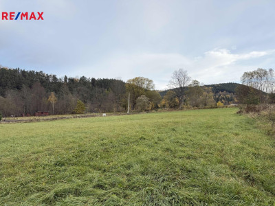 Prodej pozemku pro bydlení, 4413 m2, Rejštejn